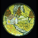 Illustration for article titled These Are the Years Best Examples of Art in a Petri Dish